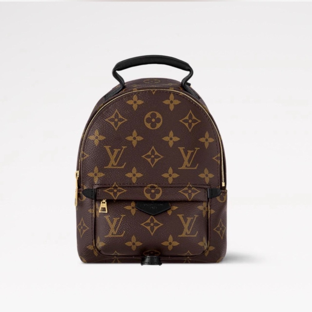 Louis Vuitton Palm Springs Mini